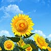 点名!下半年赚钱轻松主星TOP5