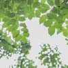 2025年6月26日黄道吉日查询
